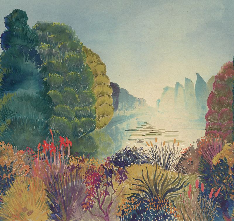 Nature Landscape