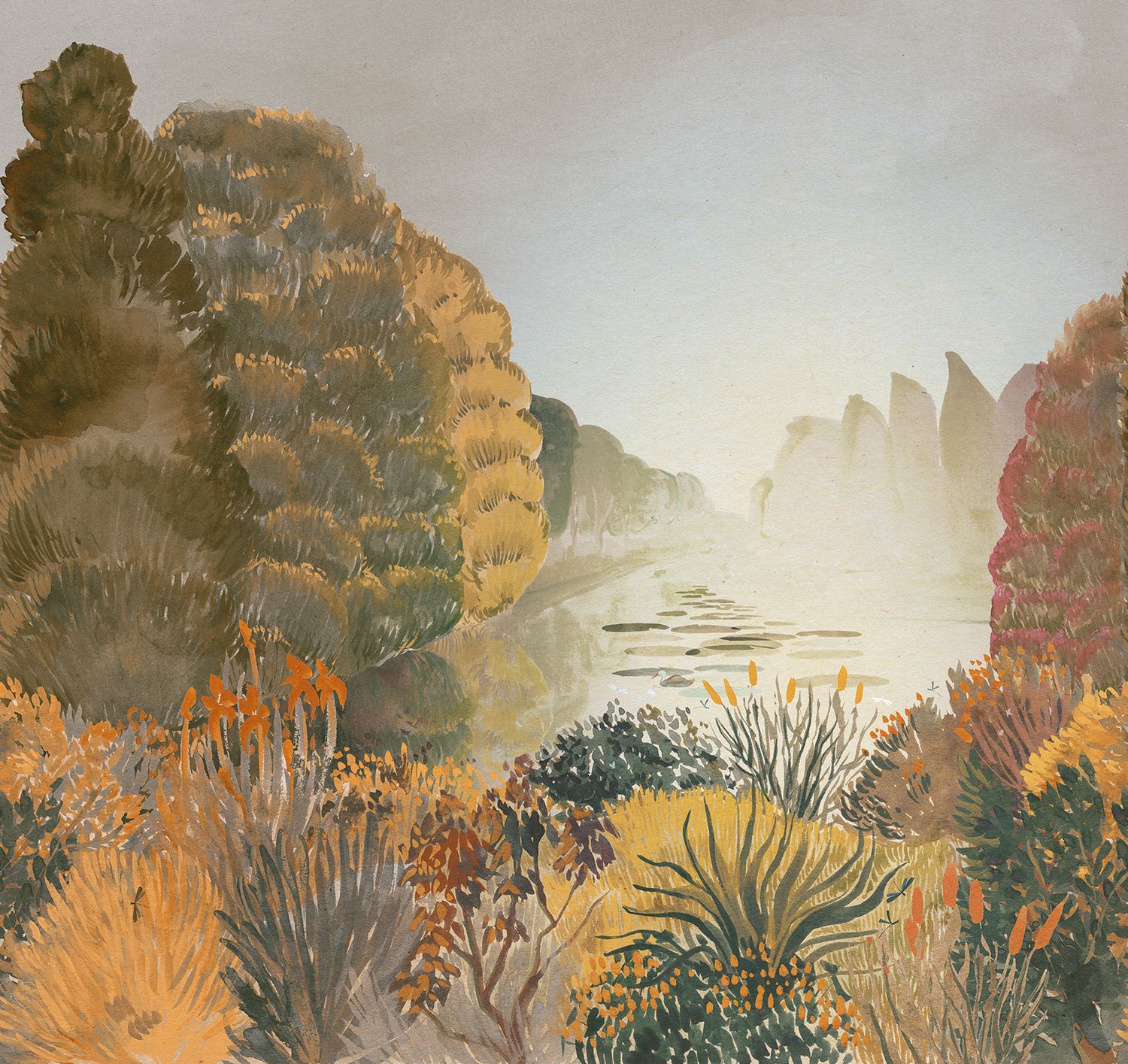 Nature Landscape