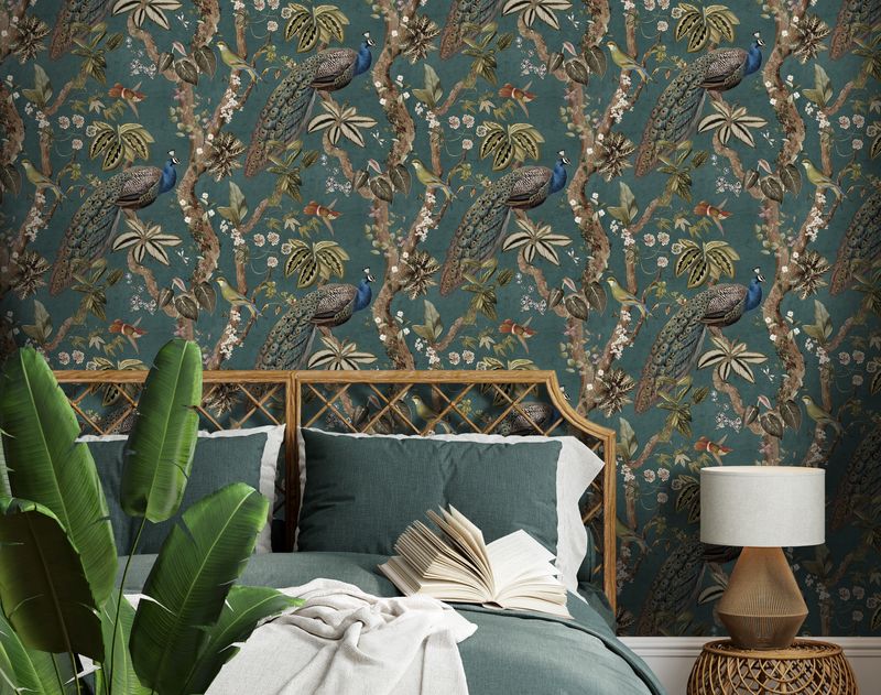 Cassia Aqua