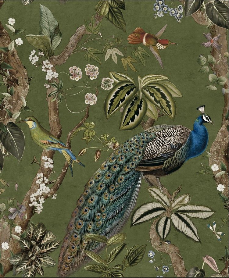 Cassia Green