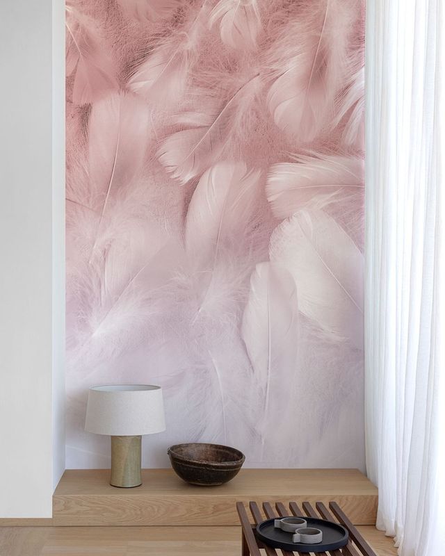 Federn in Rosa