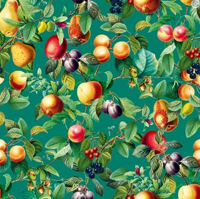 Früchte,Blätter,Floral