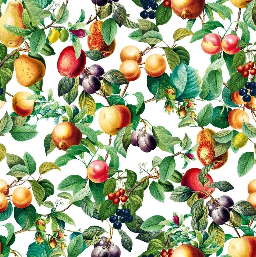 Früchte,Blätter,Floral