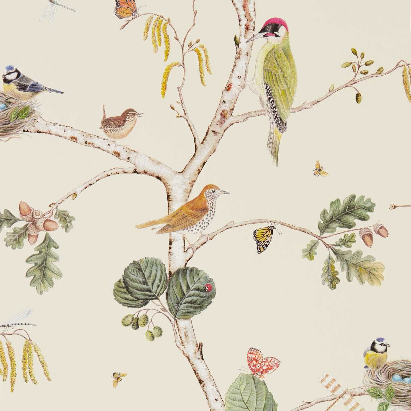 Woodland Chorus