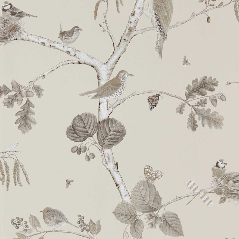 Woodland Chorus