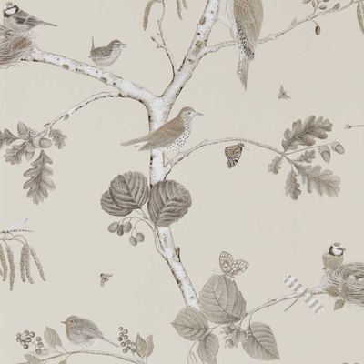 Woodland Chorus