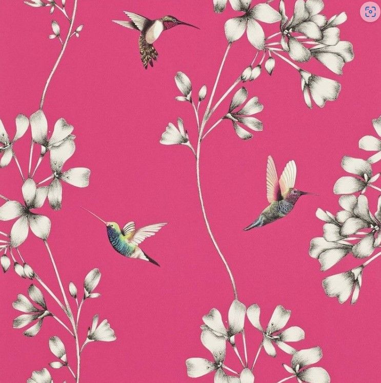 Harlequin Amazillia Pink