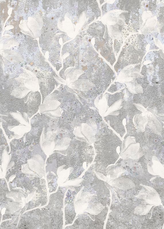 Magnolia Walls
