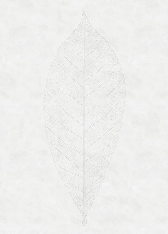 Decent Leaf
