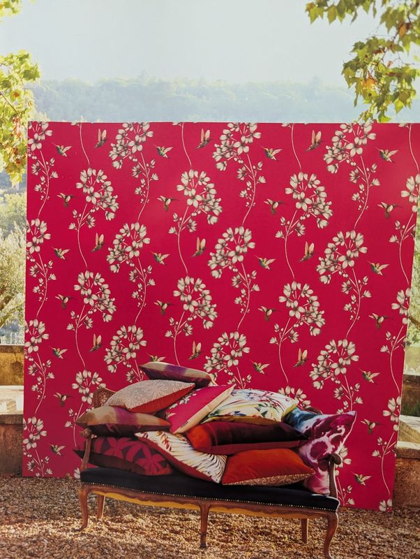 Harlequin Amazillia Pink