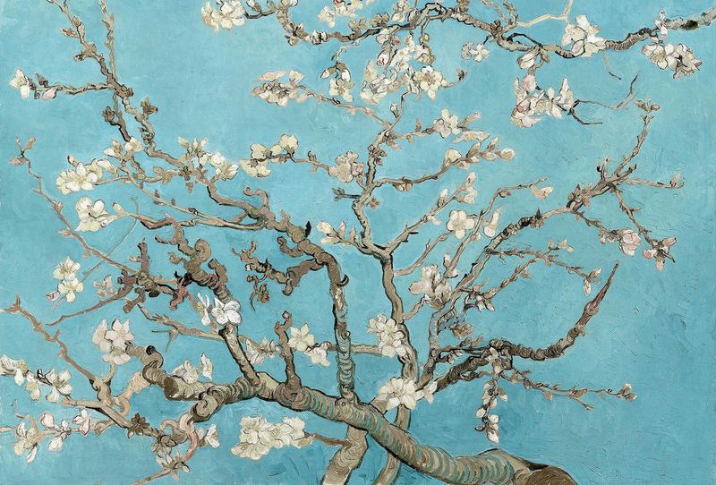 Fototapete van Gogh Almond Blossom A.S.Création