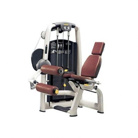 Leg Curl Selection
