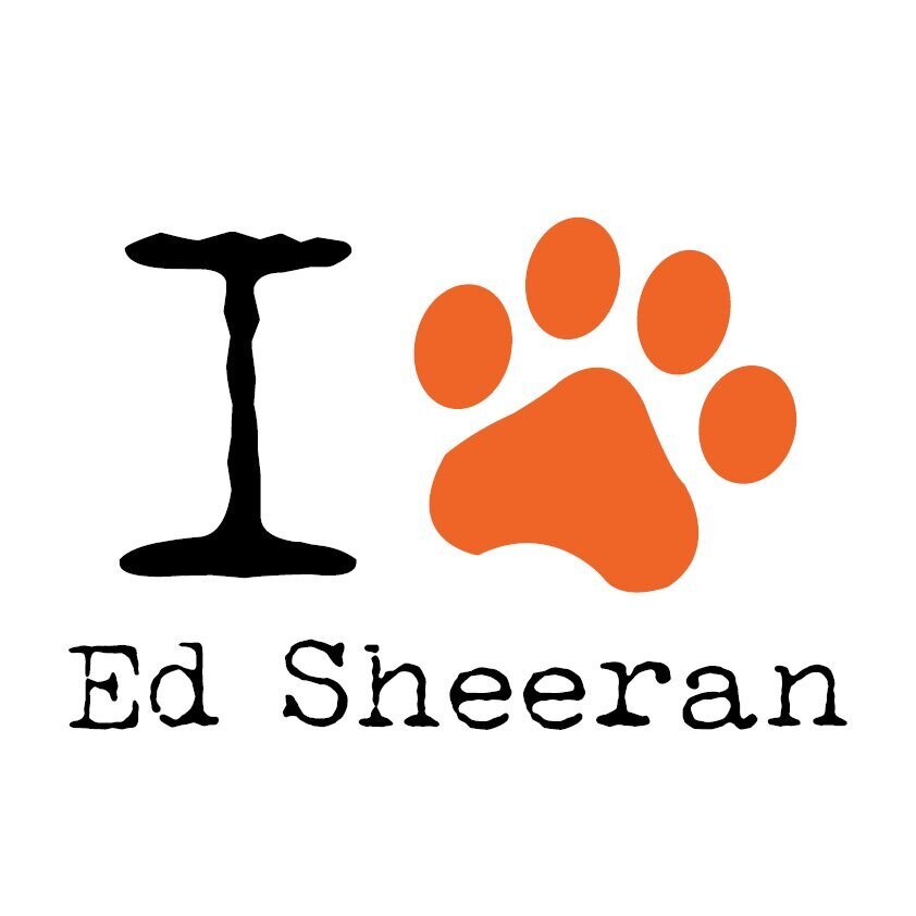 Camiseta I Love Ed Sheeran