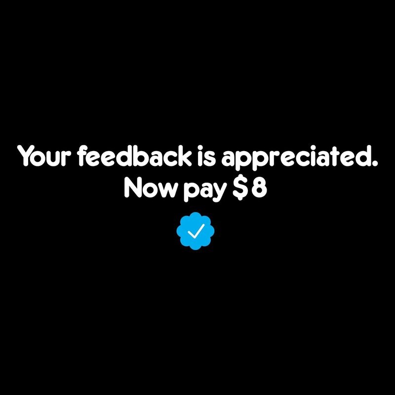Camiseta Elon Musk | Twitter Blue | Now Pay 8$