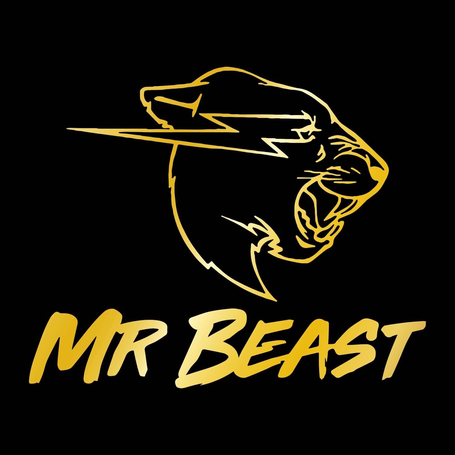 Camiseta Mr. Beast | Pantera