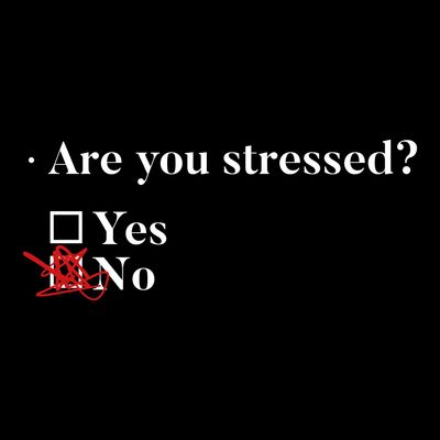 Camiseta Are You Stressed | Estresado