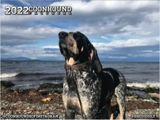 2022 Coonhounds of Instagram Wall Calendar