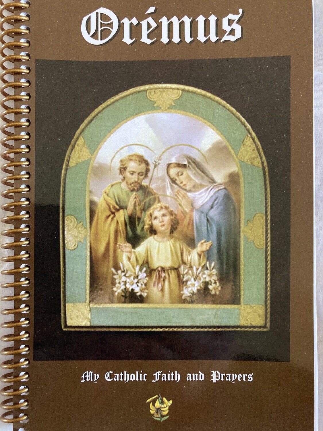 Traditional Catholic Book
