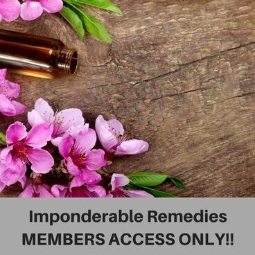ImponderableRemediesMC