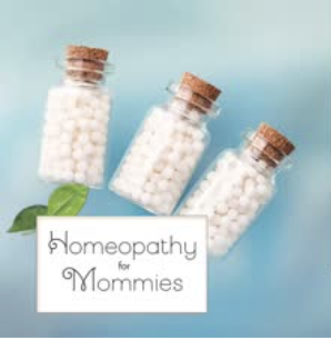Special 7-Hour Crash Course in Homeopathy Recording