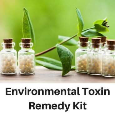 Environmental Toxin Remedy Kit