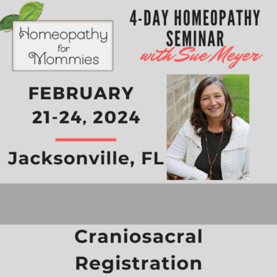 Craniosacral Seminar Jacksonville, Florida - February 21-24, 2024