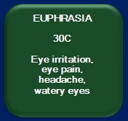 Euphrasia
