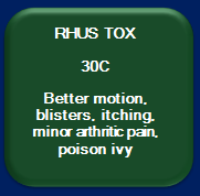 Rhus Tox
