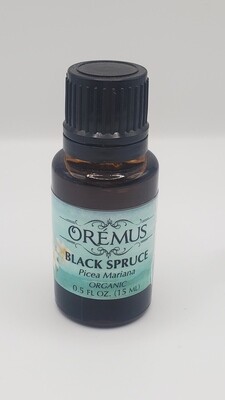 Orémus Essential Oil — Black Spruce