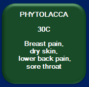 Phytolacca