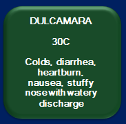 Dulcamara