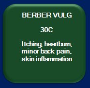 Berber Vulgaris