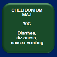Chelidonium Majus