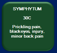Symphytum
