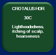 Crotalus Horridus