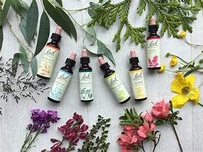 Bach Flower Essences