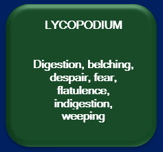 Lycopodium