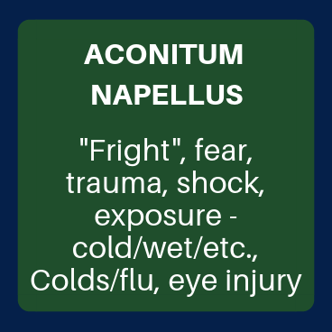 Aconitum Napellus