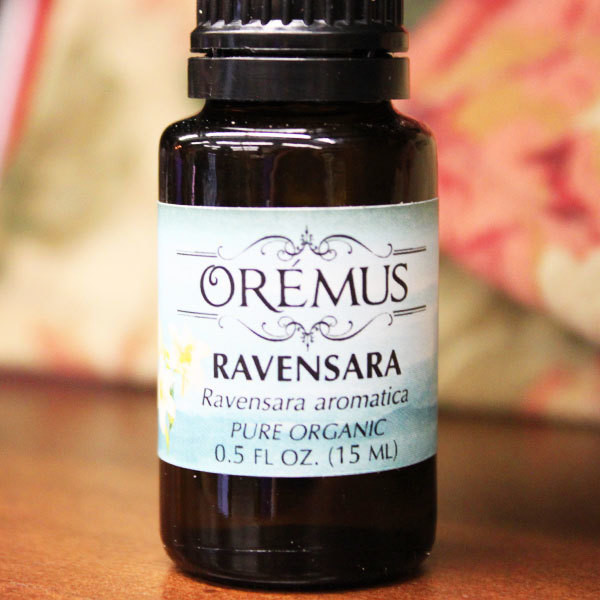 Orémus Essential Oil — Ravensara Orémus Essential Oil — Ravensara
