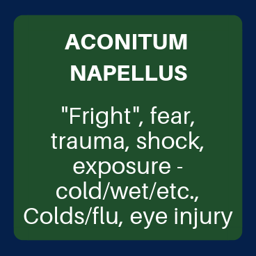 Aconitum Napellus (Aconite)