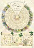 Bach Flower Poster Wall Chart for the 38 Essences Bach Flower Poster Wall Chart for the 38 Essences