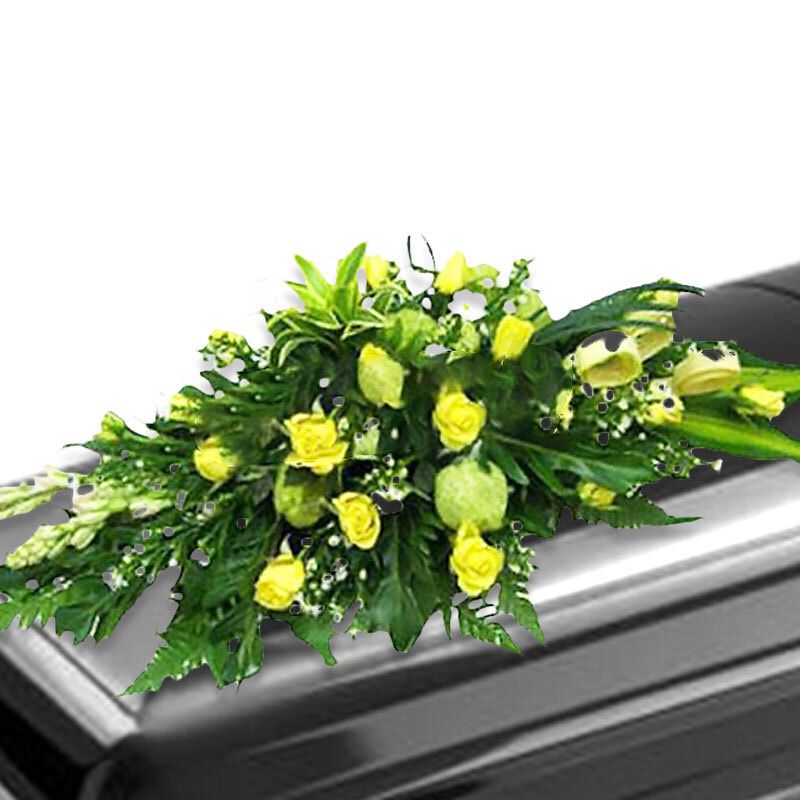 Gentleness Arrangement