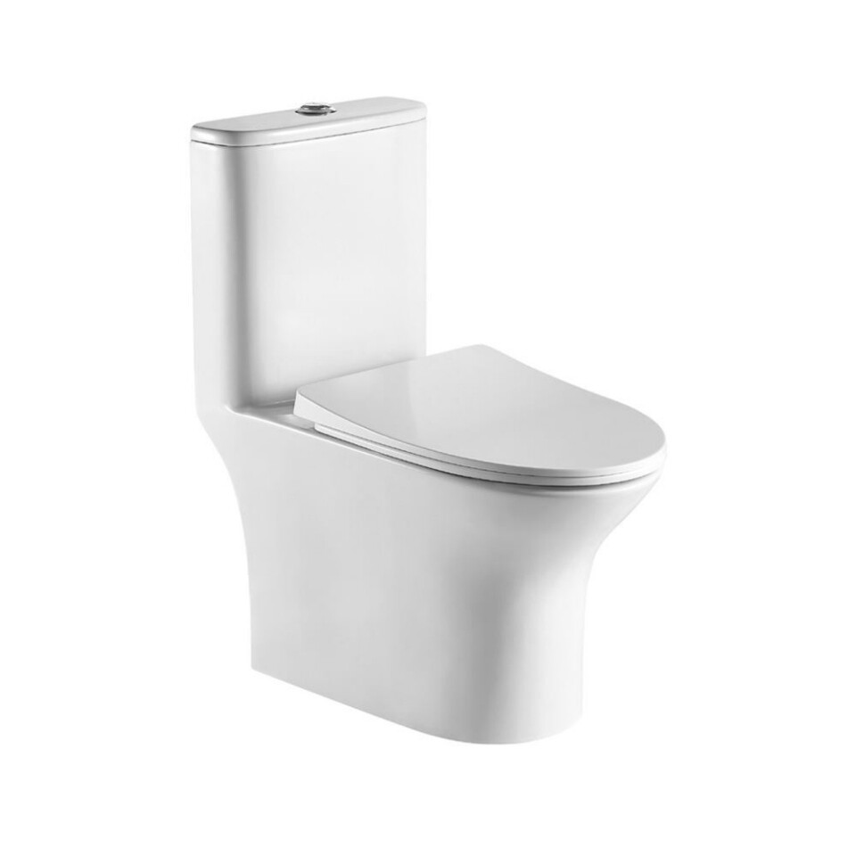 Jaqguar-Rimless Single Piece WC With UF Soft Close Slim Seat Cover, Hinges,  Cistern Fitting, Fixing Accessories And Accessories Set FSS-WHT-29853S300UFSM