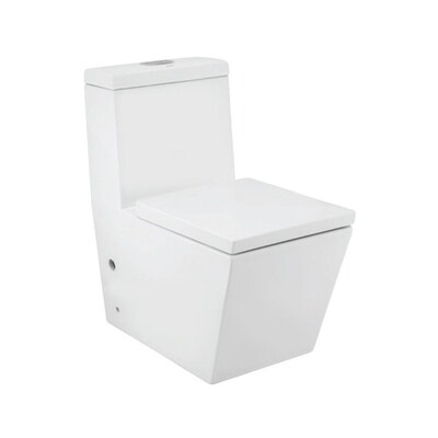 Single Piece WC With UF Soft Close Seat Cover, Hinges, Dual Flush Cistern Fitting, Fixing Accessories And Accessories Set KUS-WHT-35851S300UF
