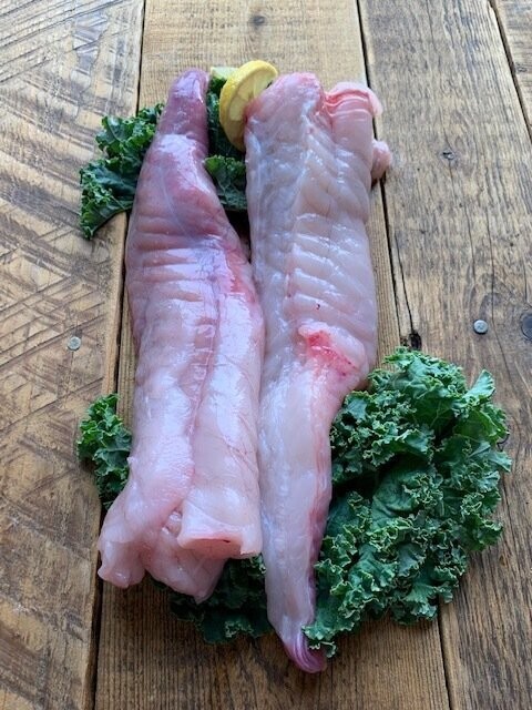 Monkfish