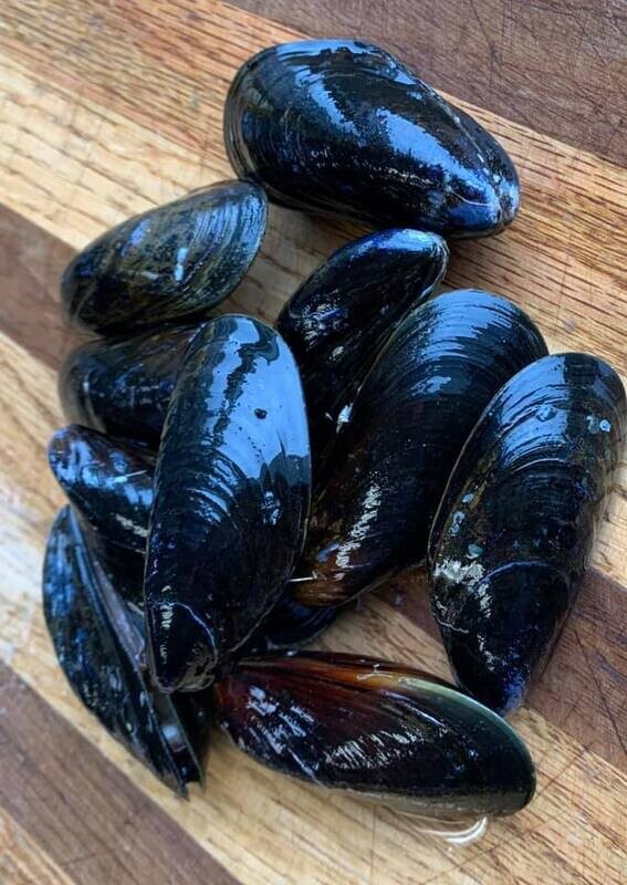 Pemaquid Mussels