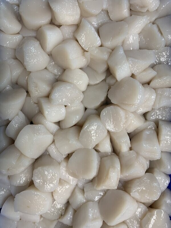 Bay Scallops