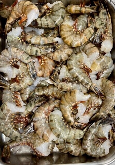 13/15 Raw Tiger Shrimp