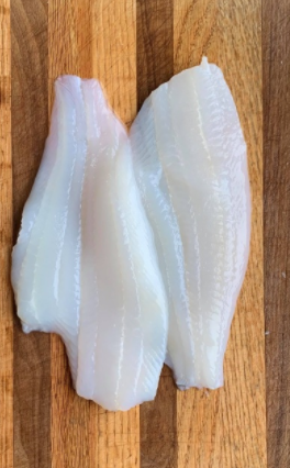 Grey Sole