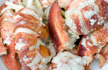 LOBSTER MEAT